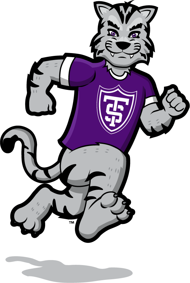 St. Thomas Tommies 2021-Pres Mascot Logo v7 iron on transfers for T-shirts
